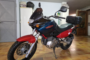 SUZUKI XF 650 Freewind