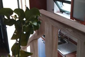 Depandance in mezzo alla natura