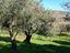 Immagine 13
