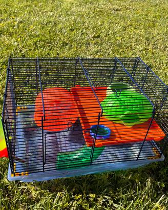 Gabbia per Criceti Completa - tanti accessori!