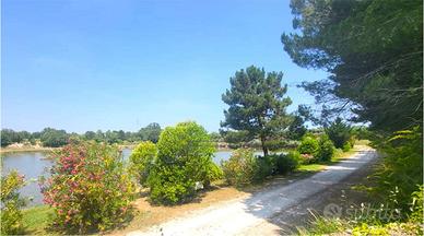 TERRENO AGRICOLO con LAGHETTO PRIVATO