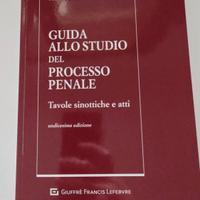 Guida Allo Studio Del Processo Penale