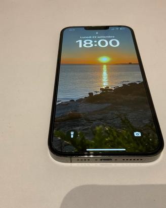 Iphone 13 pro max 256 GB