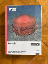 ZOOLOGIA Casiraghi, de Eguileor, Cerrano, Puce