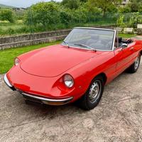 Alfa Romeo Spider Duetto TARGA ORO