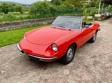 Alfa Romeo Spider Duetto TARGA ORO