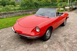 Alfa Romeo Spider Duetto TARGA ORO