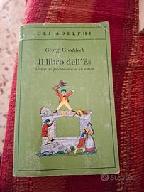 Il libro dell Es lettere di psicoanalisi a un amic