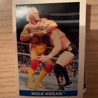 Figurine World Wrestling 1991 Euroflash