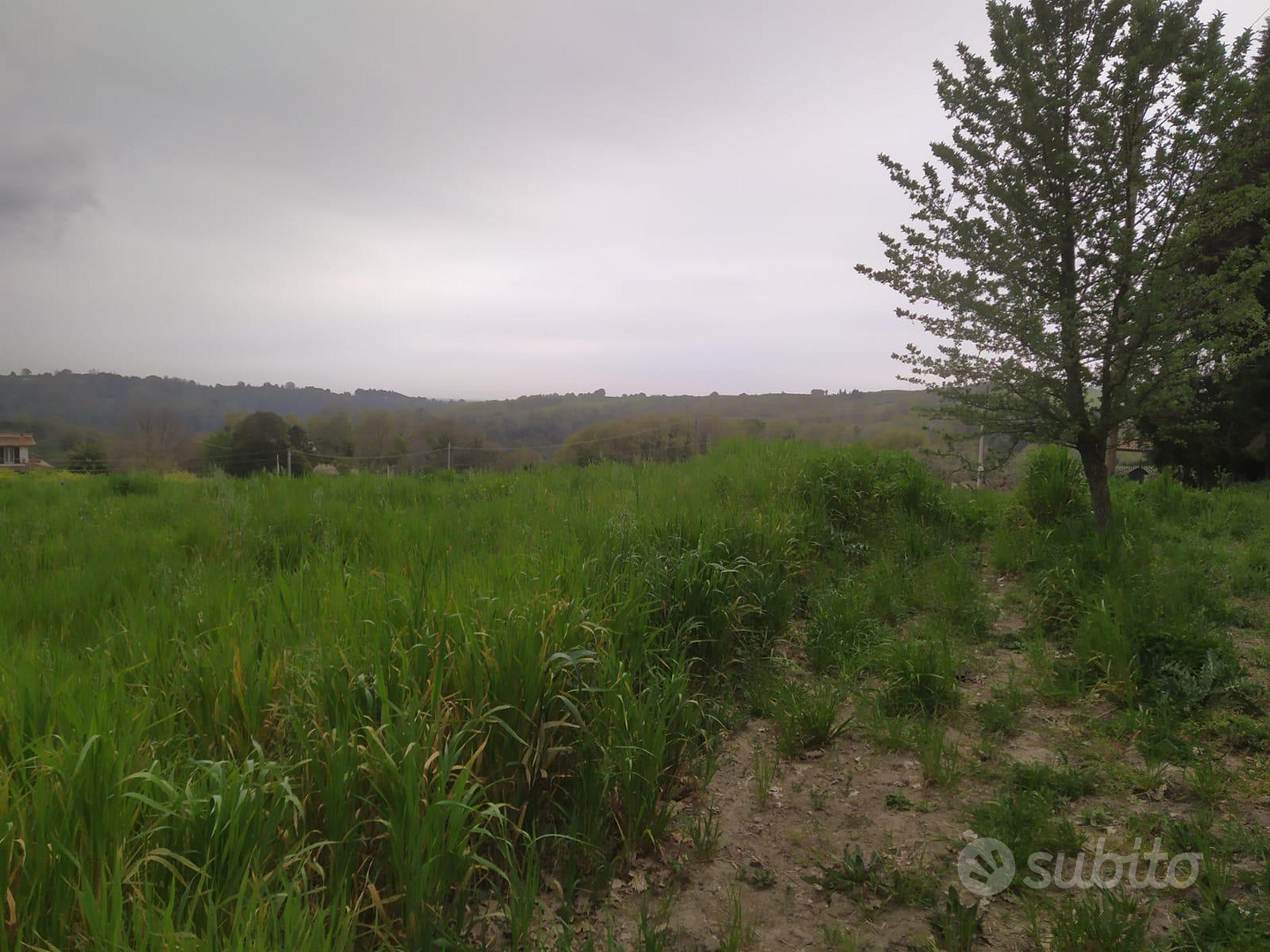 Terreno agricolo - Vista 5
