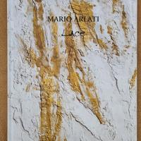 MARIO ARLATI - LUCE - Galleria Contini 2006