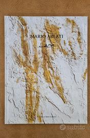 MARIO ARLATI - LUCE - Galleria Contini 2006