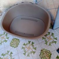 Cuccia