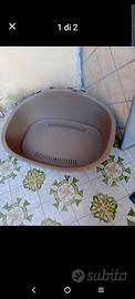 Cuccia