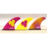 Fins Futures 2 Al Merrick