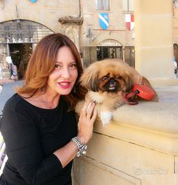 Colf dama di compagnia