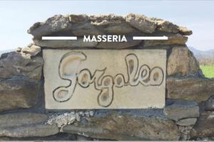 Azienda Agricola - Nova Siri