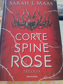 libro fantasy /Young Adult