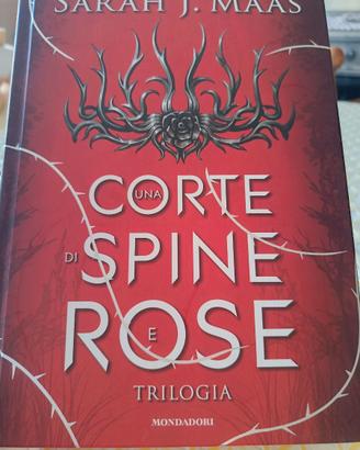 libro fantasy /Young Adult