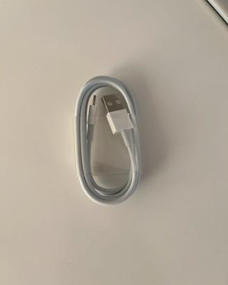 Apple cavo originale ricarica iphone-ipad