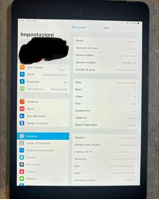 Ipad mini 2 16gb 4g wifi