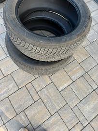 Gomme freemont