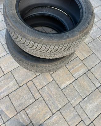 Gomme freemont