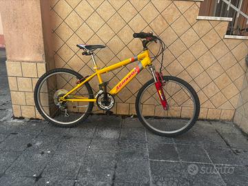 Mtb 24 pollici