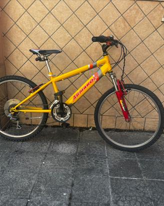 Mtb 24 pollici