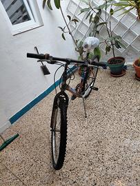 Bici Mtb