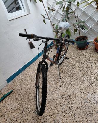 Bici Mtb
