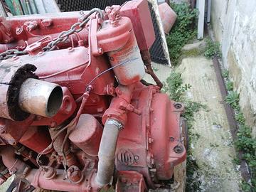 motore aifo