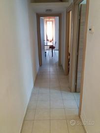 Gemelli singola 530