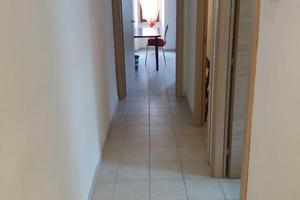 Gemelli singola 530
