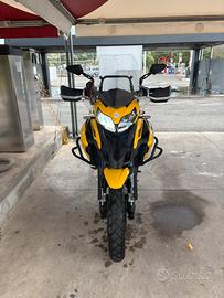 Trk 502 x 2024