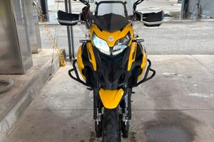 Trk 502 x 2024