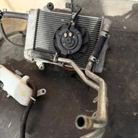 Radiatore COMPLETO per Honda Sh300 dal 2016