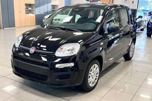 FIAT Panda 1.0 FireFly S&S Hybrid Icon