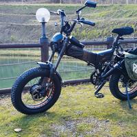 bici elettrica doppio motore