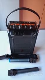 cassa amplificatore con doppio microfono 