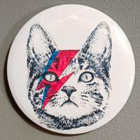 SPILLA GATTO BOWIE