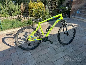 Bici usate