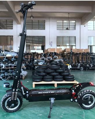 MONOPATTINO ELETTRICO IX5S 1000 WATT CON GARANZIA