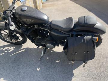 Harley Davidson 883 iron