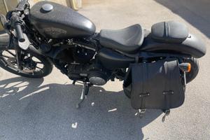 Harley Davidson 883 iron