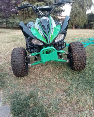 MINI QUAD 125