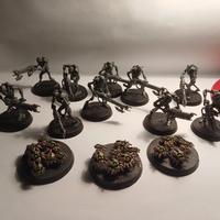 Necron Warriors + scarabs