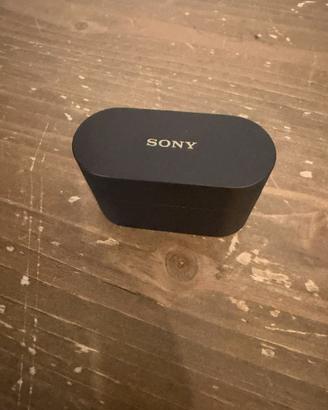 Sony WF-1000XM6 - Come nuove