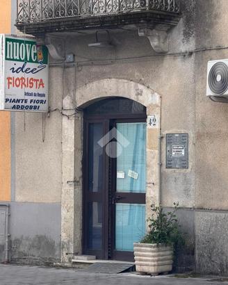 NEGOZIO A POZZILLI