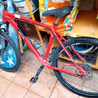 Mountain bike da trekking